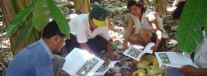 Aprendizaje del cultivo de cacao en el ICT.
