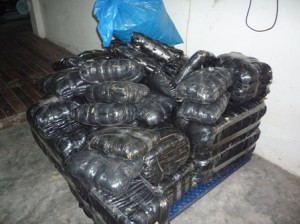 decomisan-285-kilos-de-coca1 Sumados a los 285 kilos de hoja de coca seca decomisados días atrás (en la foto), ya son casi 900 kilos de este insumo incautado por la Policía.