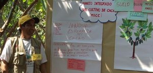 Escuelas de campo del ICT.