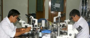 Laboratorios del ICT.