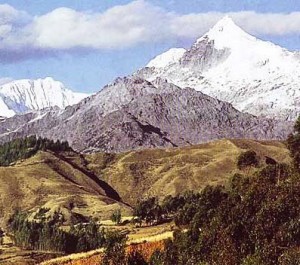 cordillera-azul1