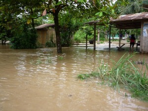 desborde-del-rio-huallaga5 Autoridades exhortaron a evacuar las zonas bajas y buscar lugares altos para pernoctar