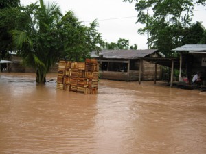 desbordes-en-aucayacu7 Aguas inundaron cientos de viviendas