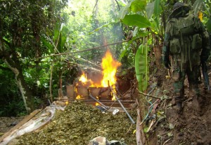 En instalación se encontró abudante hoja de coca en proceso de maceración.