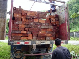 incautan-4700-pies-de-cedro-2-bajas