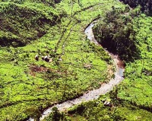 parque-nacional-cordillera-azul2