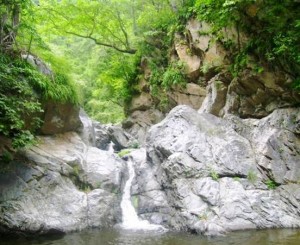 reserva-biosfera2