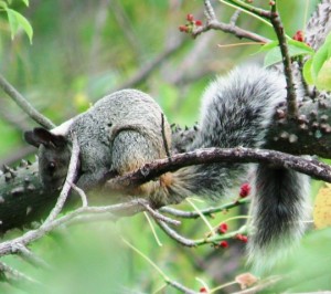 reserva-biosfera3jpg