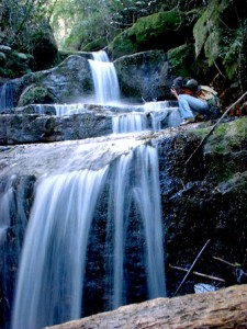 parque-nacional-cordillera-azul-51