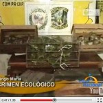 Hallan 40 monos muertos y decomisan 150 loros en Tingo María (video)