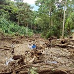 Más de 7 mil hectáreas de bosques se pierden en el VRAE por cultivos de coca y tala ilegal