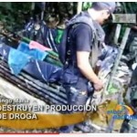 Desbaratan un laboratorio de PBC en caserío Porvenir de Marona (video)