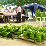 Aucayacu rindió homenaje al plátano y al juane más sabroso en la fiesta de San Juan