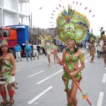 Toda la selva es una fiesta