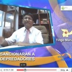 Anuncian sanciones a depredadores de fauna silvestre (video)