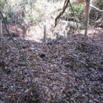 Ya son 136 los laboratorios de droga destruidos en zona de erradicación de coca ilegal