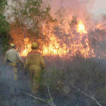 Mala costumbre de quemar bosques y pastizales podría afectar a Puerto Maldonado