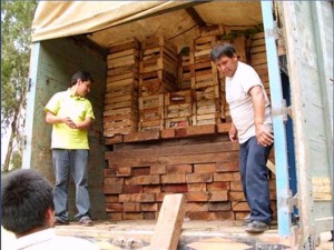 Madera incautada.