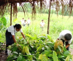 Más de 90 jóvenes participarán en talleres