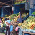 Biodiversidad favorece mayor oferta gastronómica de Madre de Dios