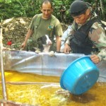 Perro antidrogas ‘Caracha’ ayudó a encontrar megalaboratorio de drogas a 300 metros de zona urbana