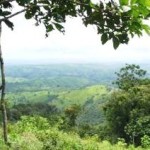Intervienen a dos taladores en Parque Nacional Cerros de Amotape en Tumbes