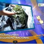 Gobierno no asume con seriedad problema del crecimiento del cultivo de hoja de coca (video)
