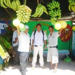 Todo listo para Festival del Plátano en José Crespo y Castillo