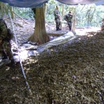 Policía destruyó cinco laboratorios de droga en el valle del Monzón