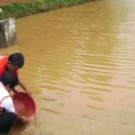 Unos 300 barriles de combustible habrían caído a aguas del río Marañón