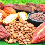 Debe promoverse industrialización del cacao y su consumo interno en el VRAE