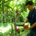 Todo quedó listo para la gran final del IV Concurso Nacional del Cacao en el VRAE
