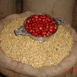 Concurso servirá para mantener prestigio que ha ganado café peruano en el extranjero