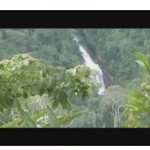 Chazuta, la carretera y sus reservas naturales (video)