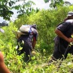 Cultivos de coca no prosperaron en Ecuador durante 2009