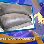 Investigan posible tráfico de drogas en carbón y madera en Pucallpa (video)
