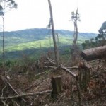 Amenazan de muerte a ronderos que protegen Parque Nacional Coordillera Azul