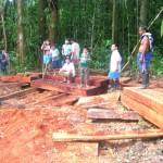 Reforestarán áreas degradadas por cultivos de coca ilegal en Padre Abad