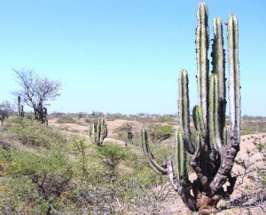 Esta área natural protegida cuenta con un Comité de Gestión integrado por 20 representantes