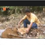 Electro Oriente destruye área de conservación en San Martín (video)