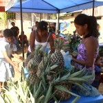 Se inició III Expoferia Agropecuaria por fiesta patronal en Kimbiri, VRAE