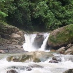 Confirman disminución en cantidad de agua potable que ingresa a Aguaytía