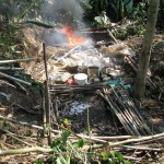 Policía destruye otros dos laboratorios de PBC en zona de erradicación de cultivos de coca