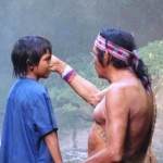 Perú obtiene dos galardones en Festival de Cine Latino sobre Medio Ambiente