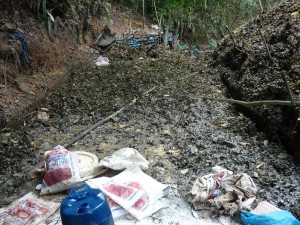 Megalaboratorios procesan gran cantidad de hoja de coca.