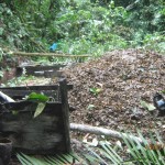 Destruyen dos laboratorios de PBC en nueva zona de erradicación de coca ilegal