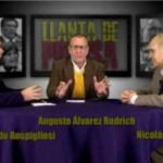 Terrucos al por mayor (video)