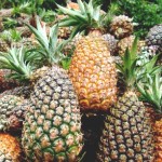 Lanzan feria para promocionar piña del VRAE en Ayacucho