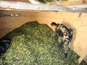 policia-incursiona-en-peligrosa-zona-de-monzon-2-bajas Se encontró tonelada y media de hoja de coca seca y bien almacenada