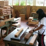 Madre de Dios sigue desarrollando su industria en base a los productos que brinda la naturaleza